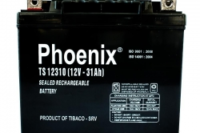 PHOENIX TS12310