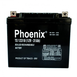 PHOENIX TS12310