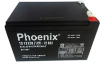 AC QUY PHOENIX TS12120