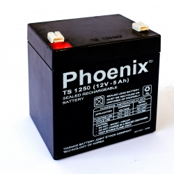 PHOENIX TS1250