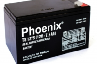 AC QUY PHOENIX TS1275