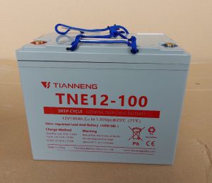 ẮC QUY TNE12-100 ( 12V-100Ah)